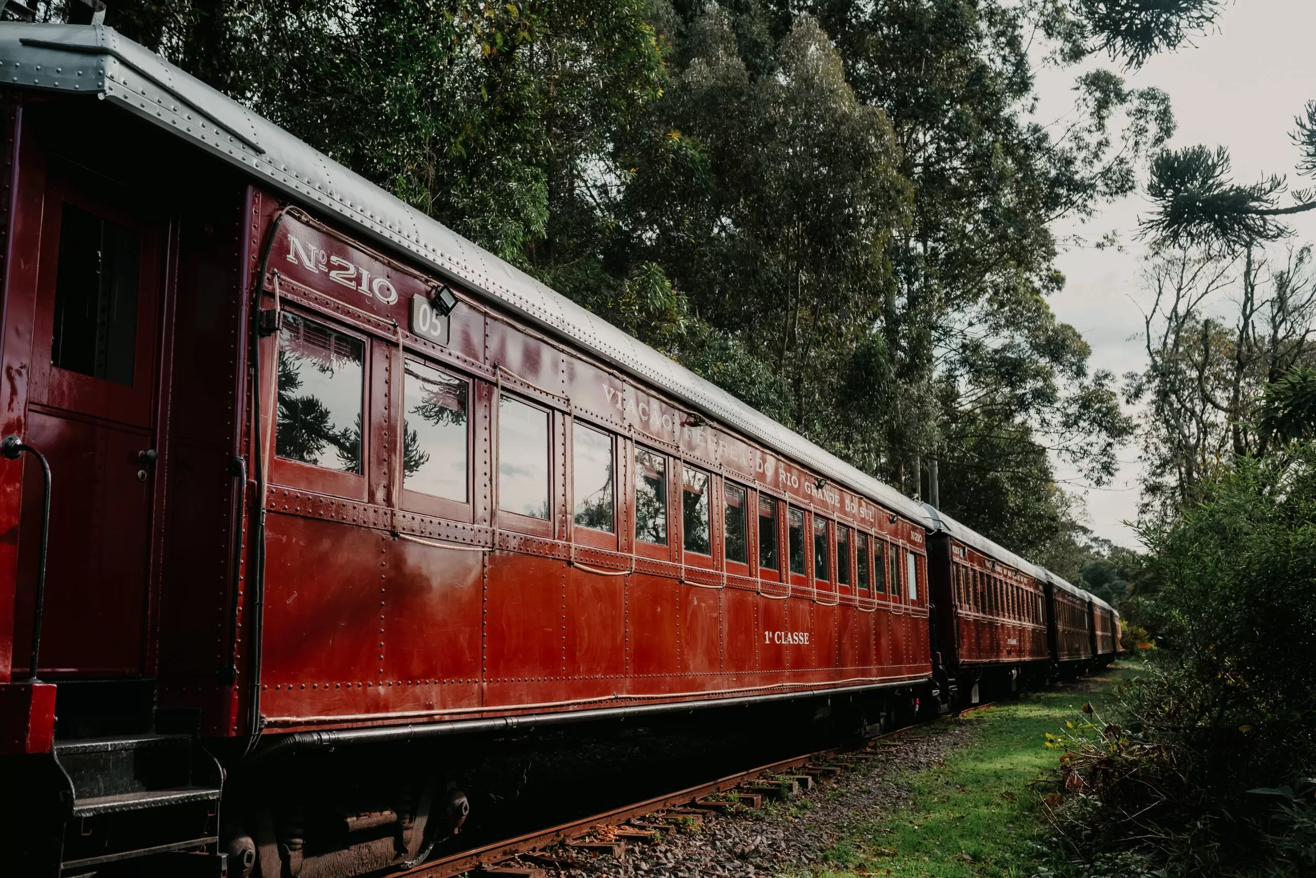 Tour Uva e Vinho + Passeio de Maria Fumaça + Epopeia + Almoço (Coletivo) - Imagem 3