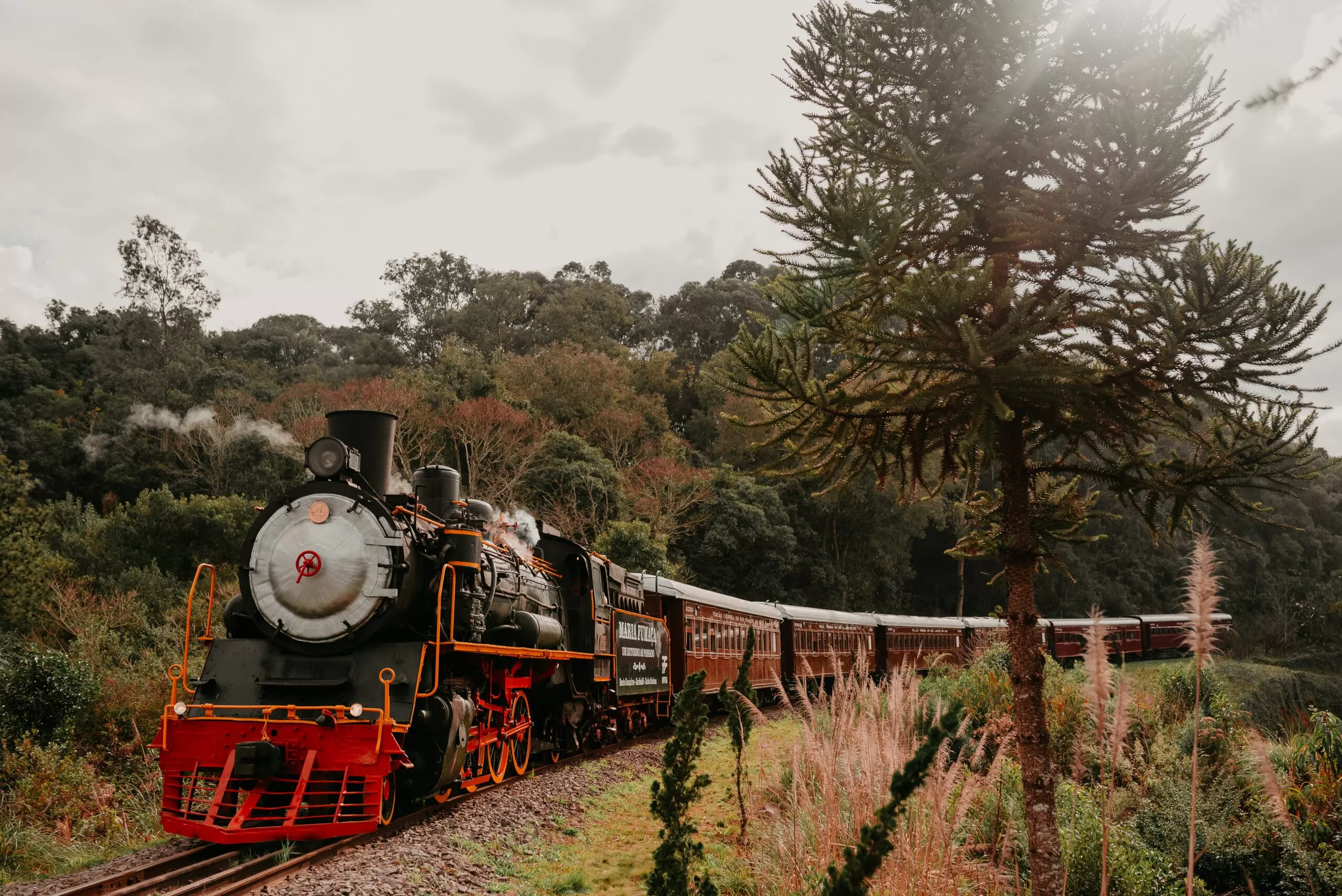 Tour Uva e Vinho + Passeio de Maria Fumaça + Epopeia + Almoço (Coletivo) - Imagem 4