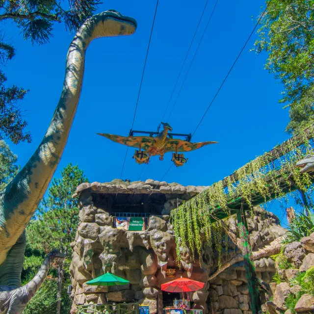 Parque Terra Mágica Florybal - Imagem 10