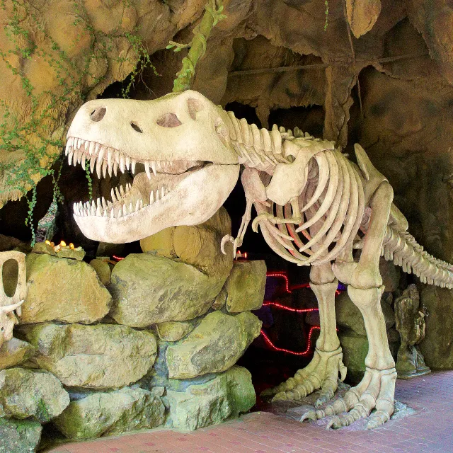 Parque Terra Mágica Florybal - Imagem 13